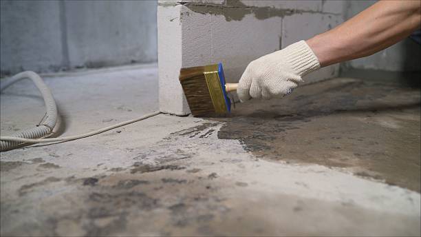 SJ Waterproofing Pros Waterproofing coverage map for Big Rock, IL and surrounding area